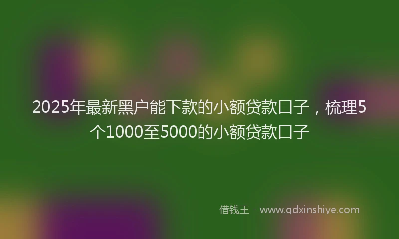 2025年最新黑户能下款的小额贷款口子，梳理5个1000至5000的小额贷款口子