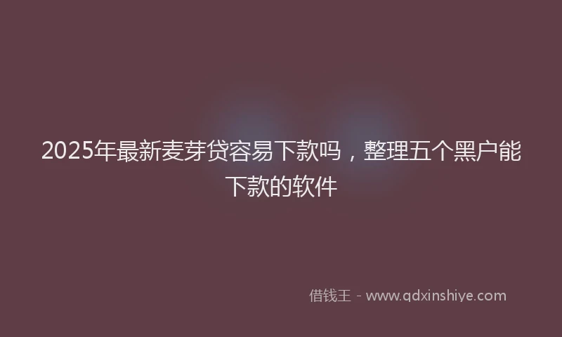 2025年最新麦芽贷容易下款吗，整理五个黑户能下款的软件
