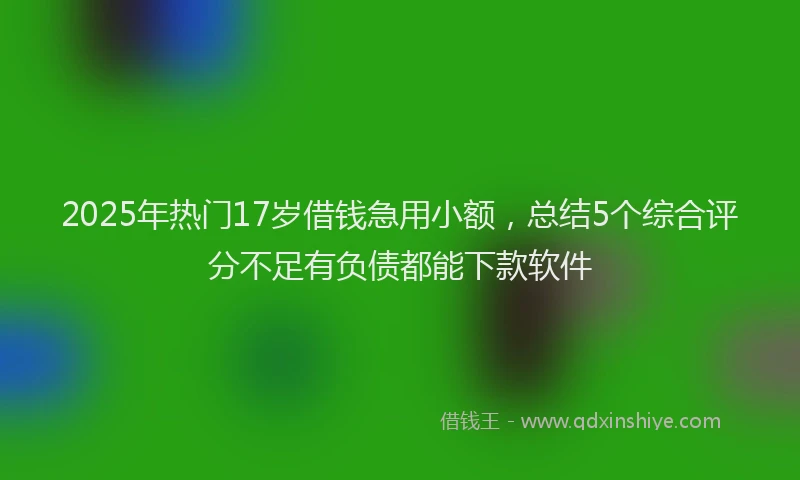 2025年热门17岁借钱急用小额，总结5个综合评分不足有负债都能下款软件