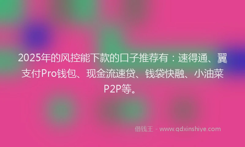 2025年的风控能下款的口子推荐有：速得通、翼支付Pro钱包、现金流速贷、钱袋快融、小油菜P2P等。