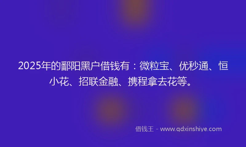 2025年的鄱阳黑户借钱有：微粒宝、优秒通、恒小花、招联金融、携程拿去花等。