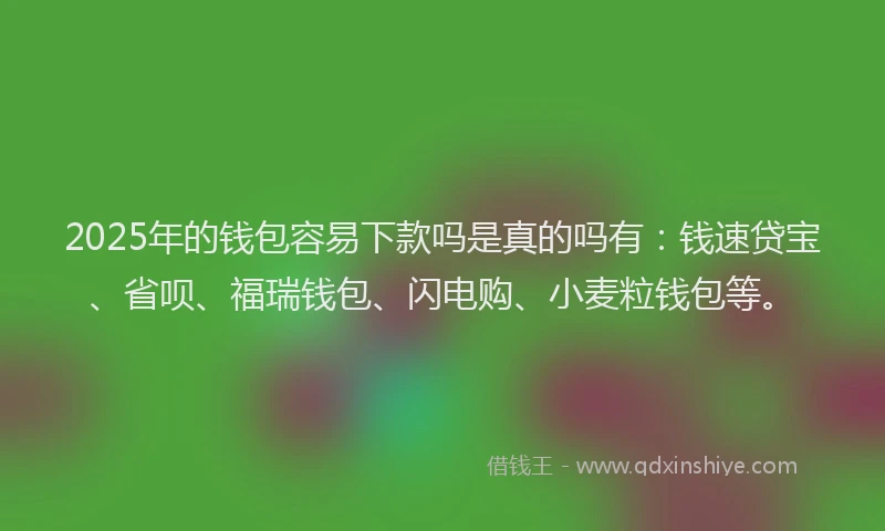 2025年的钱包容易下款吗是真的吗有：钱速贷宝、省呗、福瑞钱包、闪电购、小麦粒钱包等。