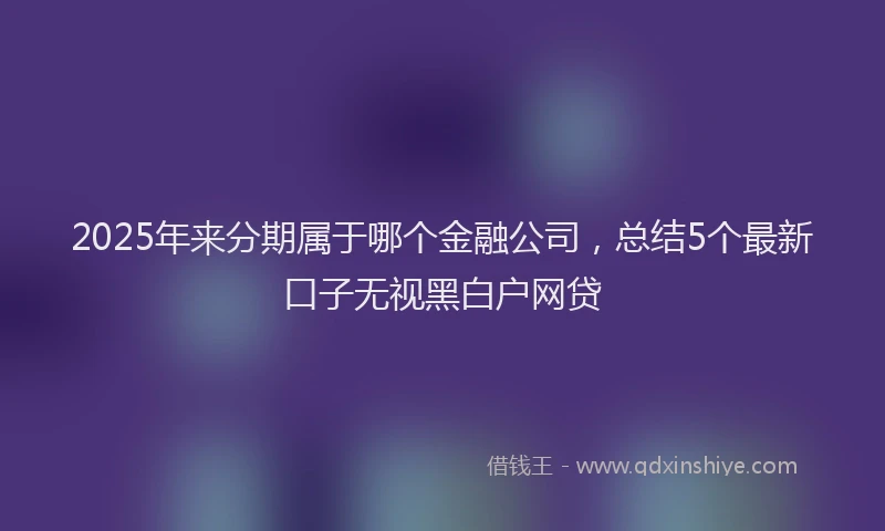 2025年来分期属于哪个金融公司，总结5个最新口子无视黑白户网贷
