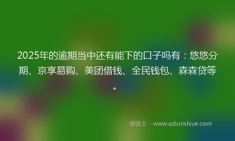 2025年的逾期当中还有能下的口子吗有：悠悠分期、京享易购、美团借钱、全民钱包、森森贷等。