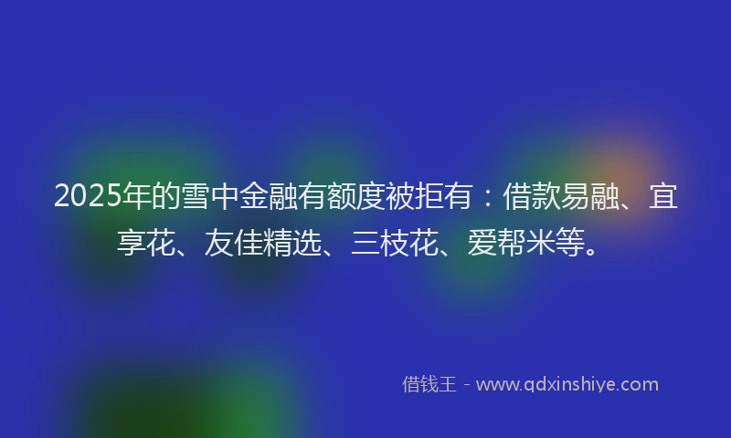 2025年的雪中金融有额度被拒有：借款易融、宜享花、友佳精选、三枝花、爱帮米等。