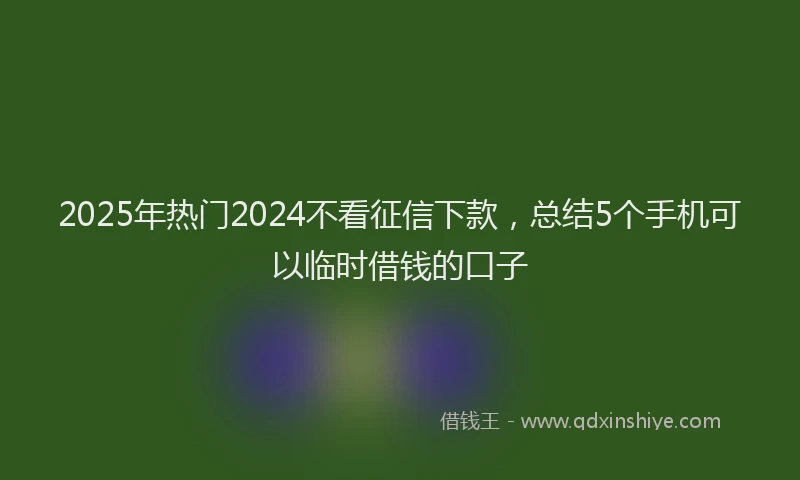 2025年热门2024不看征信下款，总结5个手机可以临时借钱的口子