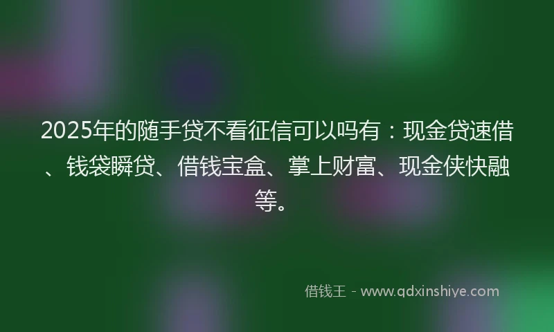 2025年的随手贷不看征信可以吗有：现金贷速借、钱袋瞬贷、借钱宝盒、掌上财富、现金侠快融等。
