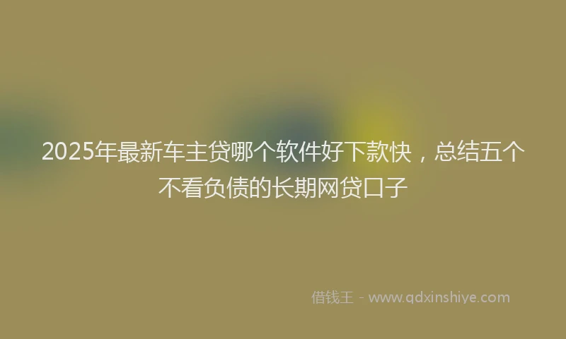 2025年最新车主贷哪个软件好下款快，总结五个不看负债的长期网贷口子