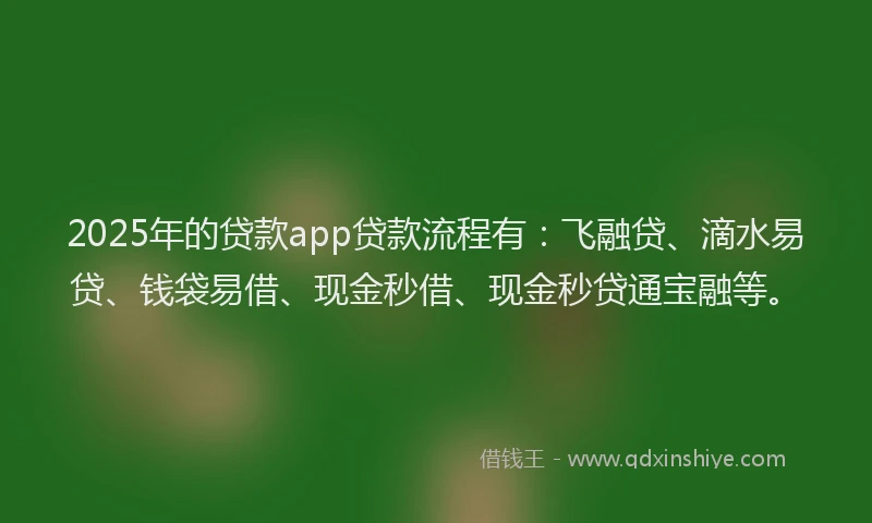 2025年的贷款app贷款流程有：飞融贷、滴水易贷、钱袋易借、现金秒借、现金秒贷通宝融等。