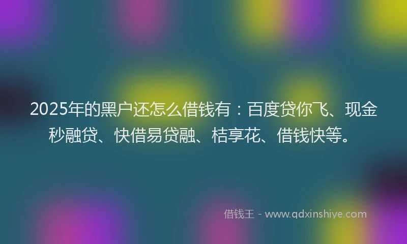 2025年的黑户还怎么借钱有：百度贷你飞、现金秒融贷、快借易贷融、桔享花、借钱快等。