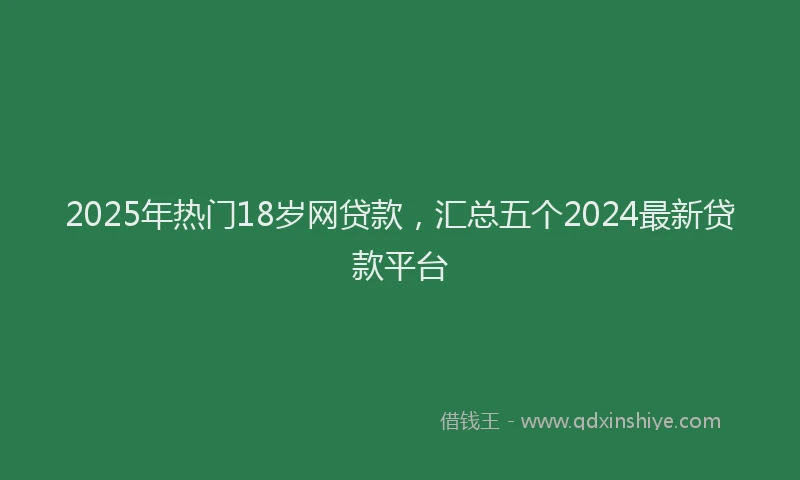 2025年热门18岁网贷款，汇总五个2024最新贷款平台