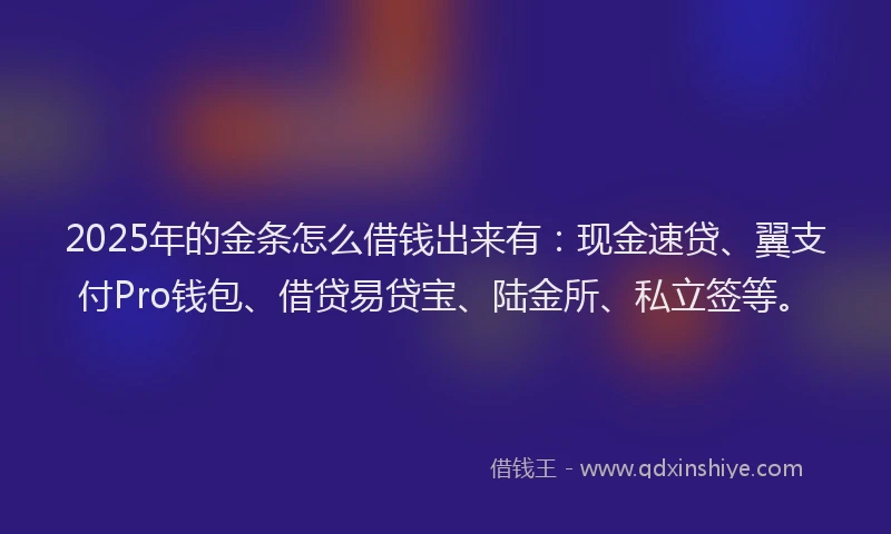 2025年的金条怎么借钱出来有：现金速贷、翼支付Pro钱包、借贷易贷宝、陆金所、私立签等。
