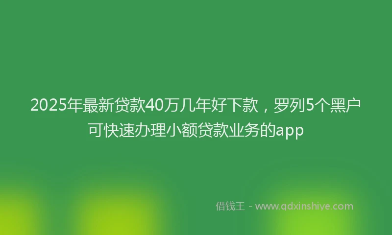 2025年最新贷款40万几年好下款，罗列5个黑户可快速办理小额贷款业务的app