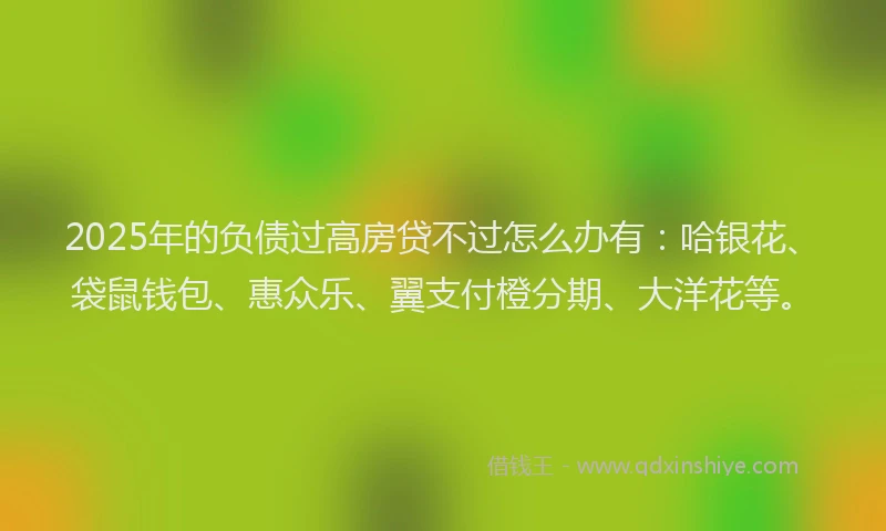 2025年的负债过高房贷不过怎么办有：哈银花、袋鼠钱包、惠众乐、翼支付橙分期、大洋花等。