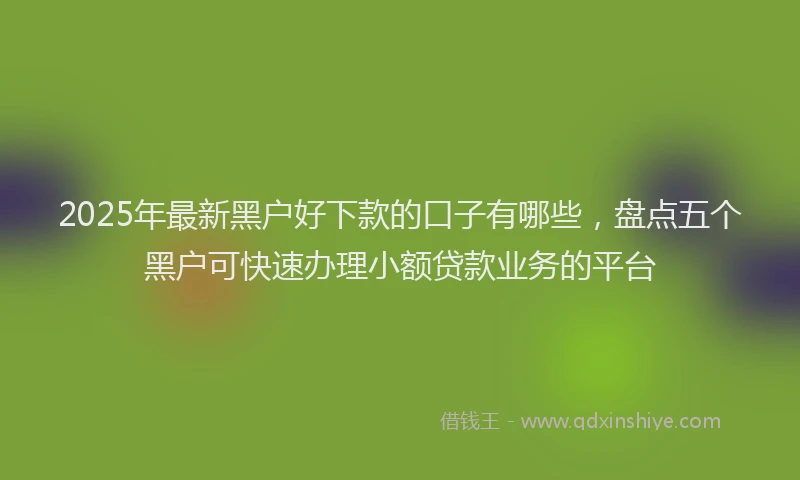 2025年最新黑户好下款的口子有哪些，盘点五个黑户可快速办理小额贷款业务的平台