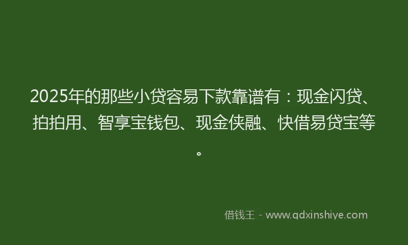 2025年的那些小贷容易下款靠谱有：现金闪贷、拍拍用、智享宝钱包、现金侠融、快借易贷宝等。
