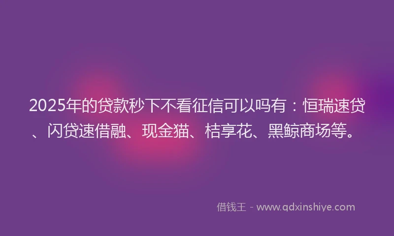 2025年的贷款秒下不看征信可以吗有：恒瑞速贷、闪贷速借融、现金猫、桔享花、黑鲸商场等。
