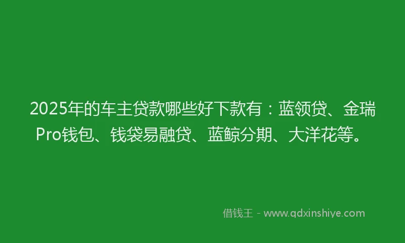 2025年的车主贷款哪些好下款有：蓝领贷、金瑞Pro钱包、钱袋易融贷、蓝鲸分期、大洋花等。