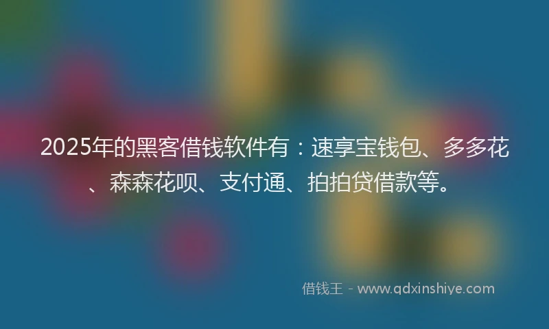 2025年的黑客借钱软件有：速享宝钱包、多多花、森森花呗、支付通、拍拍贷借款等。