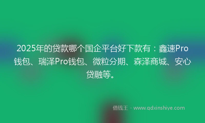 2025年的贷款哪个国企平台好下款有：鑫速Pro钱包、瑞泽Pro钱包、微粒分期、森泽商城、安心贷融等。