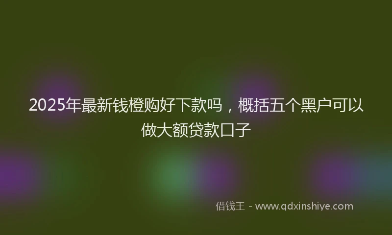 2025年最新钱橙购好下款吗，概括五个黑户可以做大额贷款口子