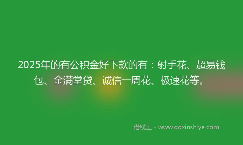 2025年的有公积金好下款的有：射手花、超易钱包、金满堂贷、诚信一周花、极速花等。