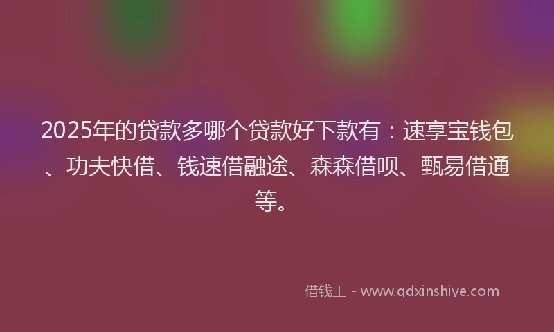 2025年的贷款多哪个贷款好下款有：速享宝钱包、功夫快借、钱速借融途、森森借呗、甄易借通等。
