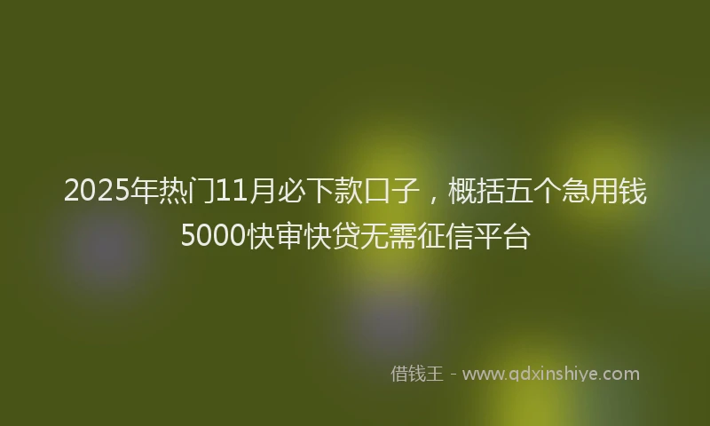 2025年热门11月必下款口子，概括五个急用钱5000快审快贷无需征信平台