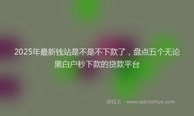 2025年最新钱站是不是不下款了，盘点五个无论黑白户秒下款的贷款平台
