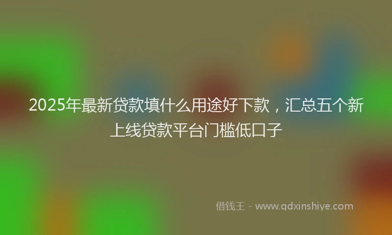 2025年最新贷款填什么用途好下款，汇总五个新上线贷款平台门槛低口子