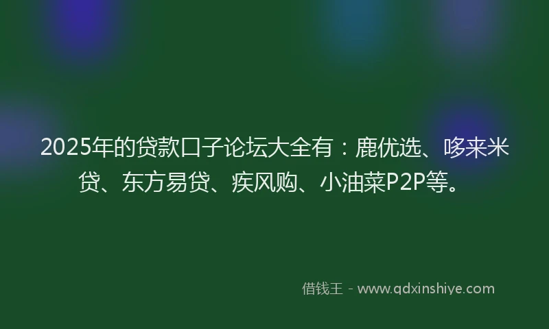 2025年的贷款口子论坛大全有：鹿优选、哆来米贷、东方易贷、疾风购、小油菜P2P等。