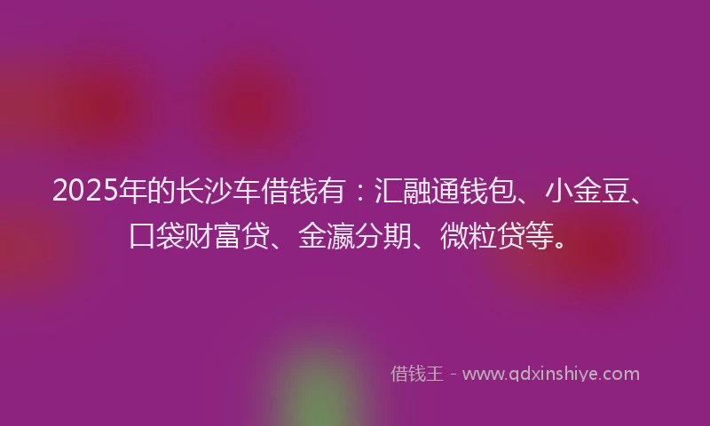 2025年的长沙车借钱有：汇融通钱包、小金豆、口袋财富贷、金瀛分期、微粒贷等。
