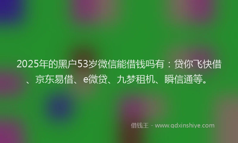 2025年的黑户53岁微信能借钱吗有：贷你飞快借、京东易借、e微贷、九梦租机、瞬信通等。