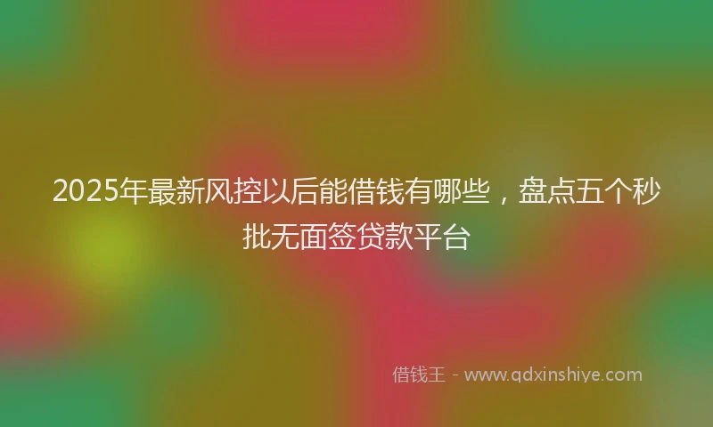 2025年最新风控以后能借钱有哪些，盘点五个秒批无面签贷款平台