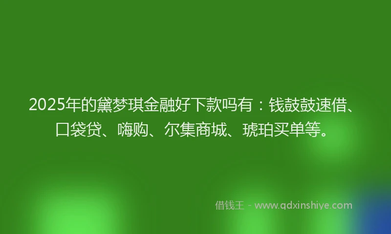 2025年的黛梦琪金融好下款吗有：钱鼓鼓速借、口袋贷、嗨购、尔集商城、琥珀买单等。