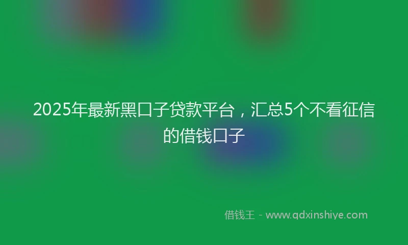 2025年最新黑口子贷款平台，汇总5个不看征信的借钱口子