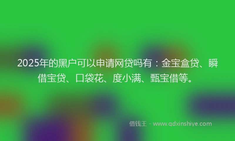2025年的黑户可以申请网贷吗有：金宝盒贷、瞬借宝贷、口袋花、度小满、甄宝借等。