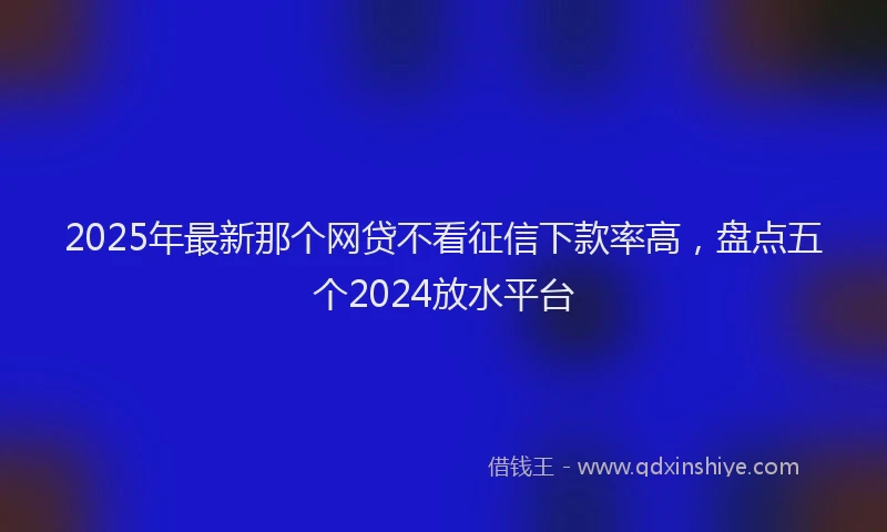 2025年最新那个网贷不看征信下款率高，盘点五个2024放水平台