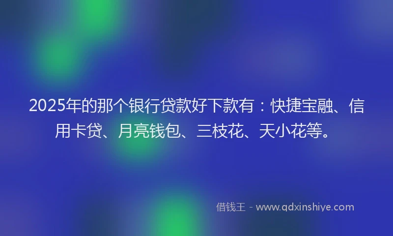 2025年的那个银行贷款好下款有：快捷宝融、信用卡贷、月亮钱包、三枝花、天小花等。