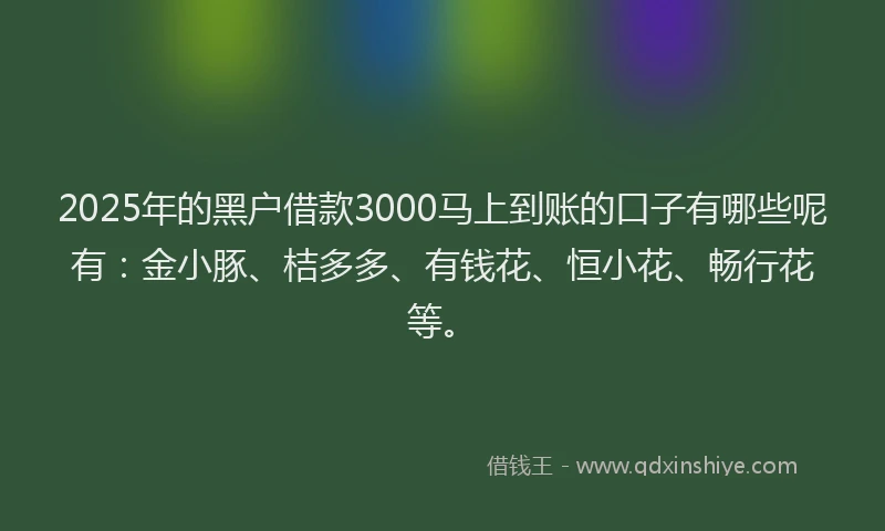 2025年的黑户借款3000马上到账的口子有哪些呢有：金小豚、桔多多、有钱花、恒小花、畅行花等。