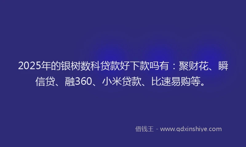 2025年的银树数科贷款好下款吗有：聚财花、瞬信贷、融360、小米贷款、比速易购等。