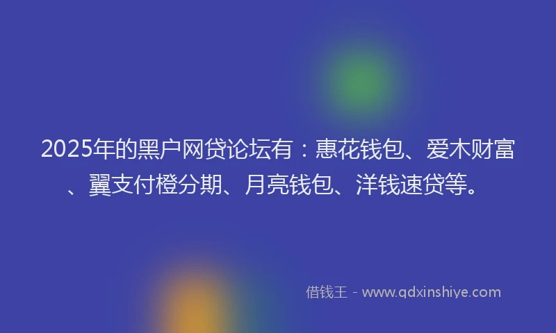 2025年的黑户网贷论坛有：惠花钱包、爱木财富、翼支付橙分期、月亮钱包、洋钱速贷等。