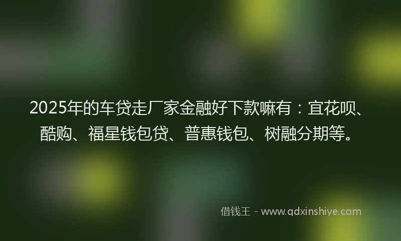 2025年的车贷走厂家金融好下款嘛有：宜花呗、酷购、福星钱包贷、普惠钱包、树融分期等。