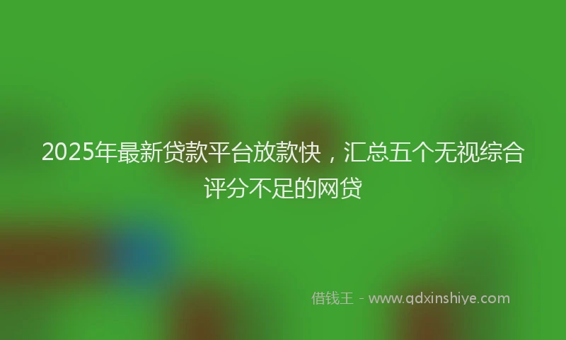 2025年最新贷款平台放款快，汇总五个无视综合评分不足的网贷