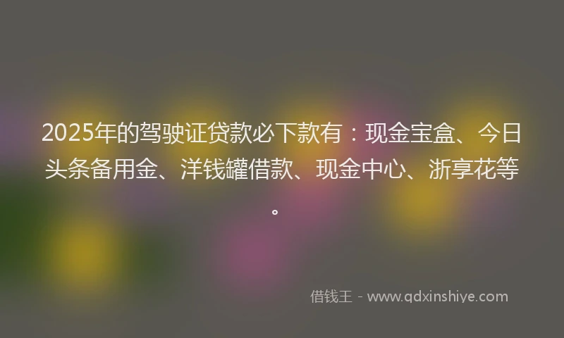 2025年的驾驶证贷款必下款有：现金宝盒、今日头条备用金、洋钱罐借款、现金中心、浙享花等。