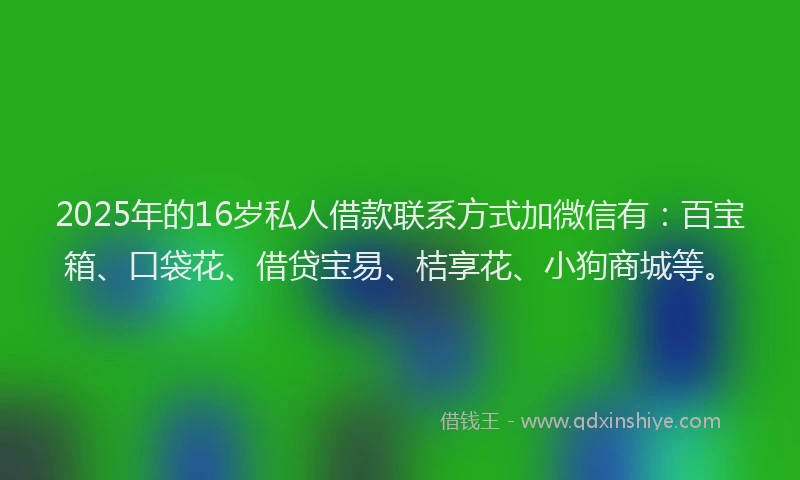 2025年的16岁私人借款联系方式加微信有：百宝箱、口袋花、借贷宝易、桔享花、小狗商城等。