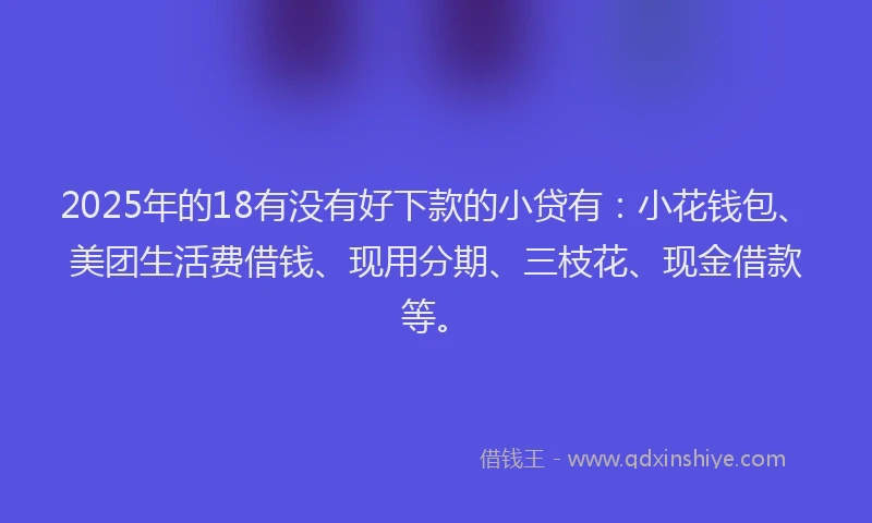 2025年的18有没有好下款的小贷有：小花钱包、美团生活费借钱、现用分期、三枝花、现金借款等。