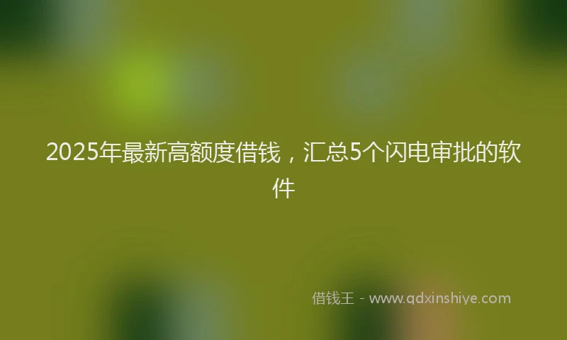 2025年最新高额度借钱，汇总5个闪电审批的软件