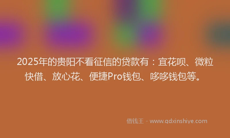 2025年的贵阳不看征信的贷款有：宜花呗、微粒快借、放心花、便捷Pro钱包、哆哆钱包等。
