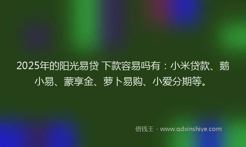 2025年的阳光易贷 下款容易吗有：小米贷款、鹅小易、蒙享金、萝卜易购、小爱分期等。